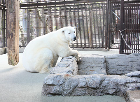 愛媛県立とべ動物園